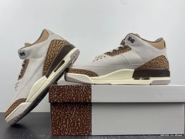 Rep CT8532-102 Jordan Palomino Air 3 0821